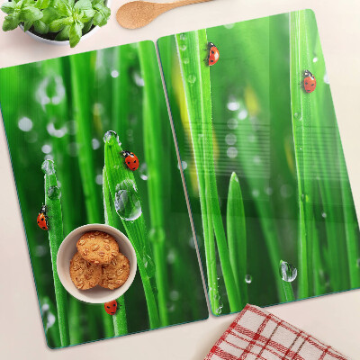 Snijplanken glas Waterdruppels op gras met lieveheersbeestjes