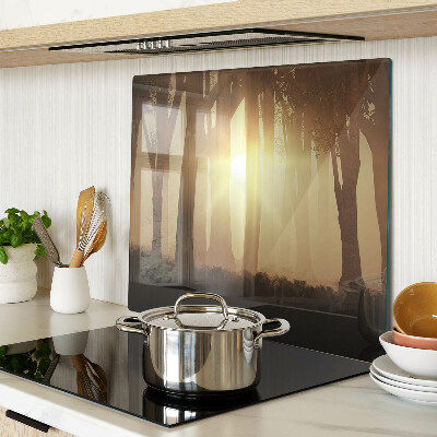 Snijplanken glas Zonsondergang in het bos