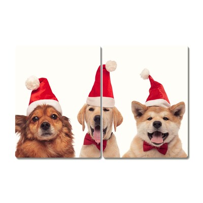 Snijplanken glas Honden Kerstman
