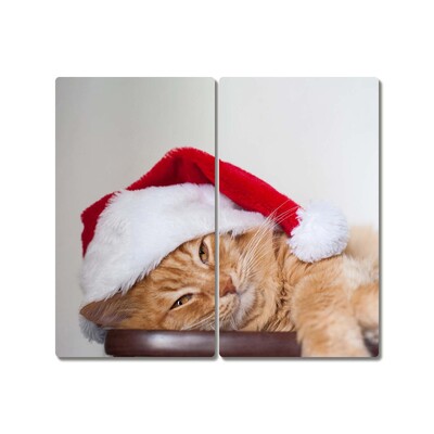 Snijplanken glas Cat Santa Hat Kerstmis