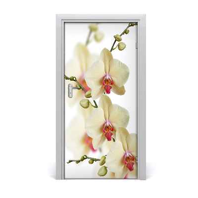 Deursticker Orchidee