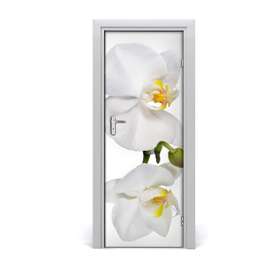 Deursticker Witte orchidee