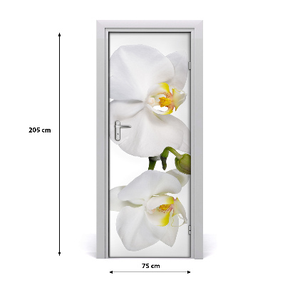 Deursticker Witte orchidee