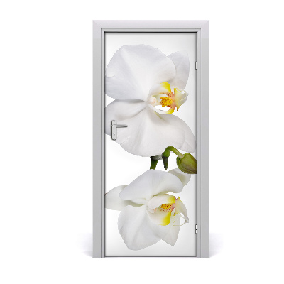 Deursticker Witte orchidee