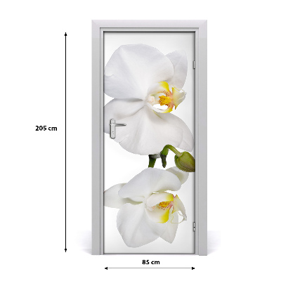 Deursticker Witte orchidee