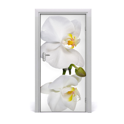 Deursticker Witte orchidee