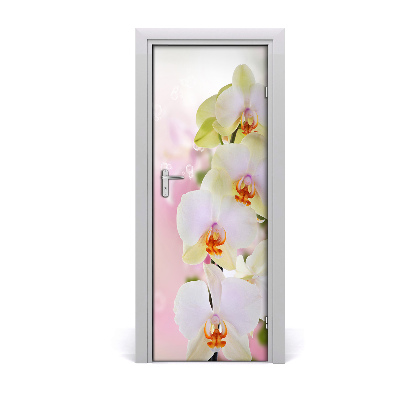 Deursticker Witte orchidee