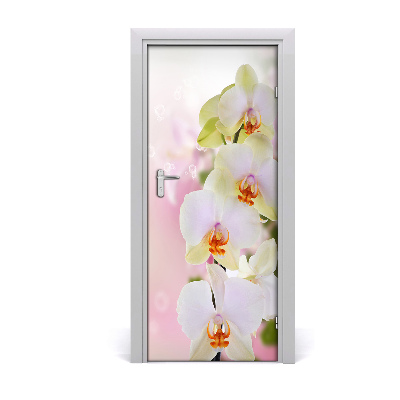 Deursticker Witte orchidee