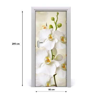 Deur sticker Witte orchidee