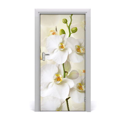 Deur sticker Witte orchidee