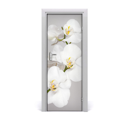 Deur sticker Witte orchidee