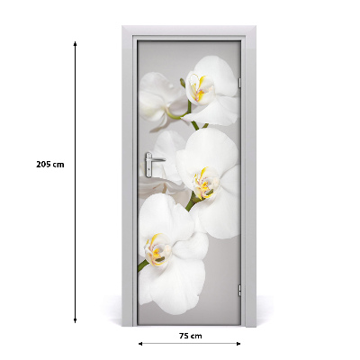 Deur sticker Witte orchidee