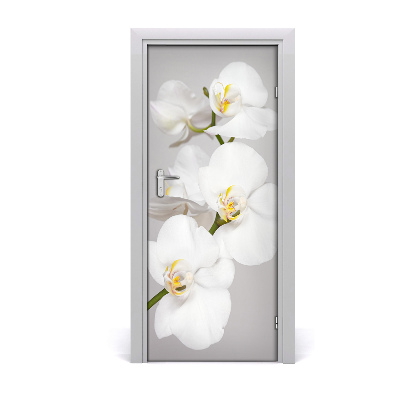 Deur sticker Witte orchidee