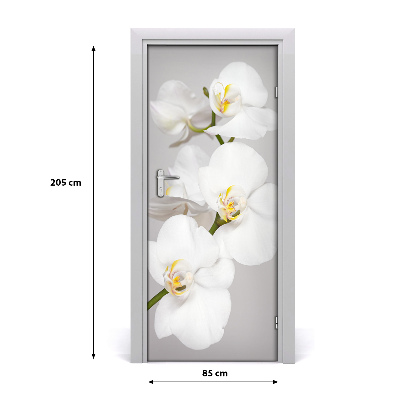 Deur sticker Witte orchidee