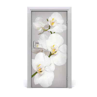 Deur sticker Witte orchidee