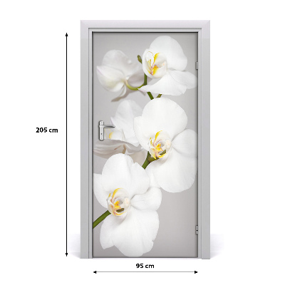 Deur sticker Witte orchidee