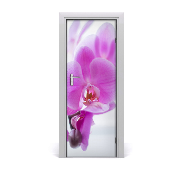 Deur sticker Roze orchidee