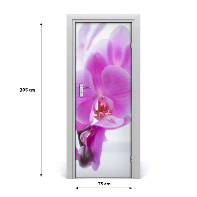 Deur sticker Roze orchidee