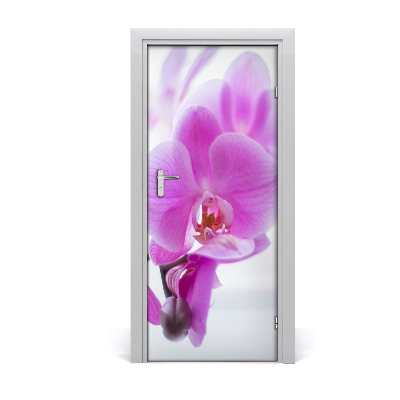 Deur sticker Roze orchidee