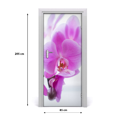 Deur sticker Roze orchidee