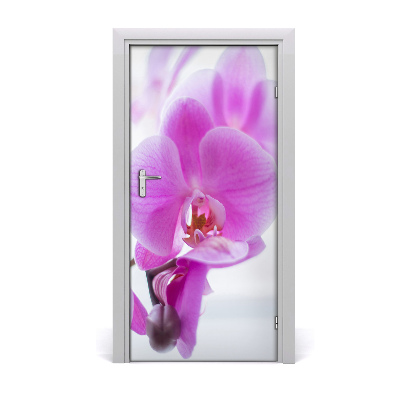 Deur sticker Roze orchidee