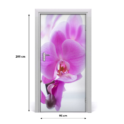 Deur sticker Roze orchidee