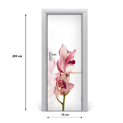 Deur sticker Roze orchidee