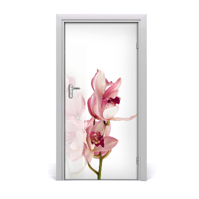 Deur sticker Roze orchidee