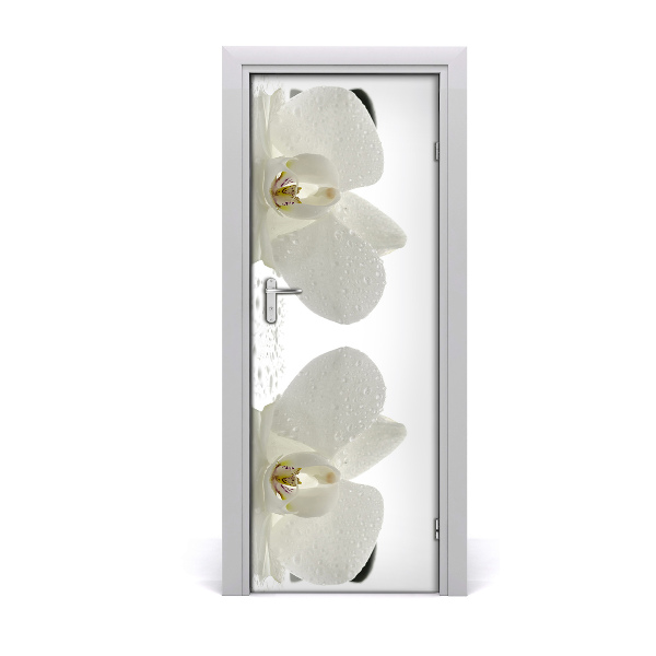 Deur sticker Orchidee en stenen