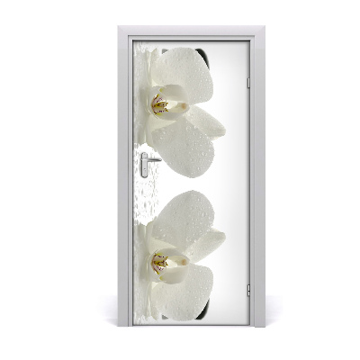 Deur sticker Orchidee en stenen