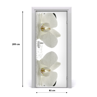 Deur sticker Orchidee en stenen