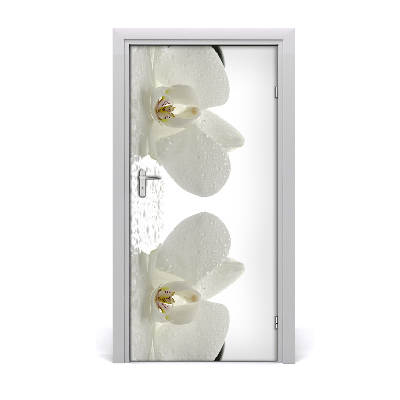 Deur sticker Orchidee en stenen