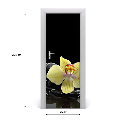 Deur sticker Orchidee en stenen