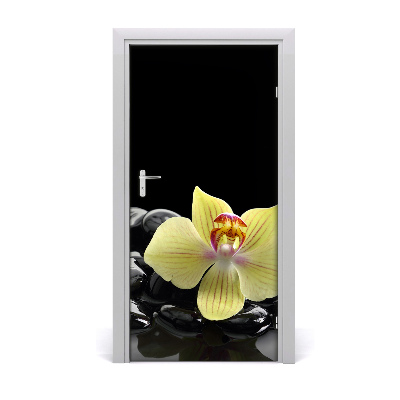 Deur sticker Orchidee en stenen