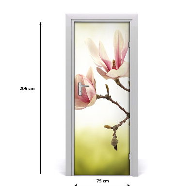 Deur sticker Magnolia bloemen