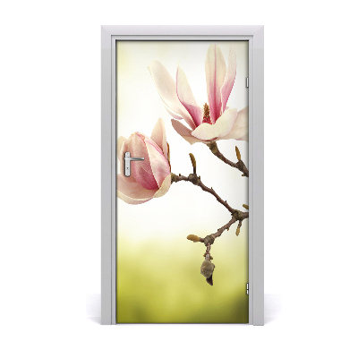 Deur sticker Magnolia bloemen