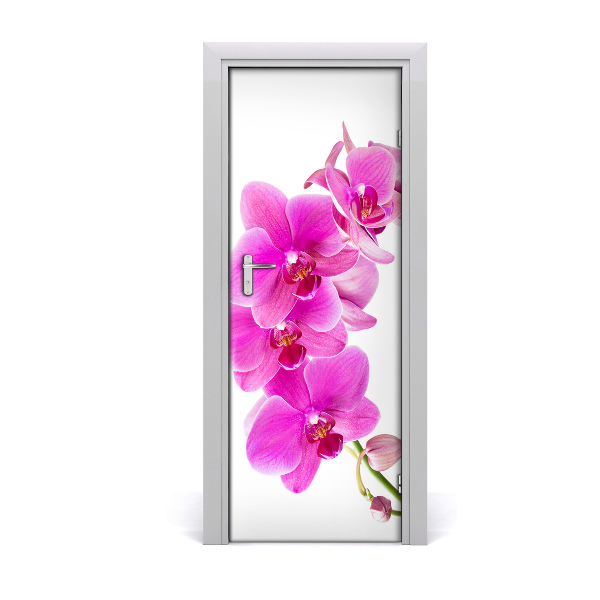 Deur sticker Roze orchidee