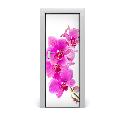 Deur sticker Roze orchidee