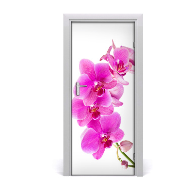 Deur sticker Roze orchidee