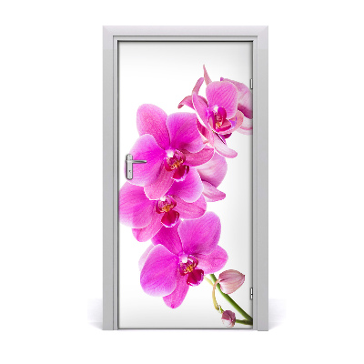 Deur sticker Roze orchidee