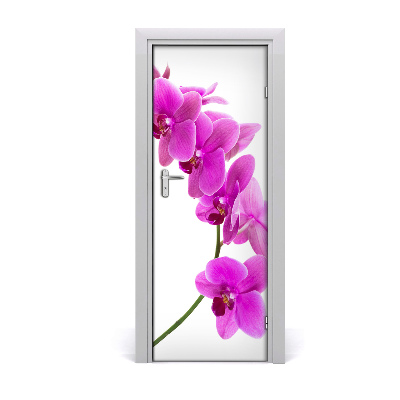 Deur sticker Roze orchidee