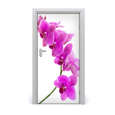 Deur sticker Roze orchidee