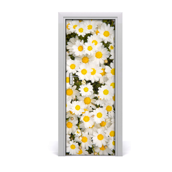 Deur sticker Daisy flowers