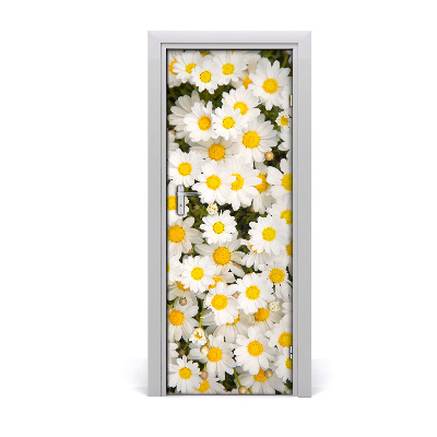 Deur sticker Daisy flowers