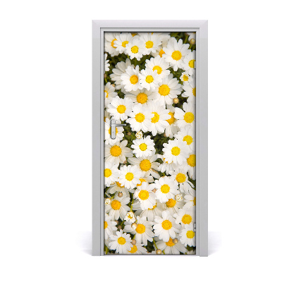 Deur sticker Daisy flowers