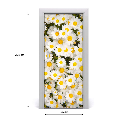 Deur sticker Daisy flowers