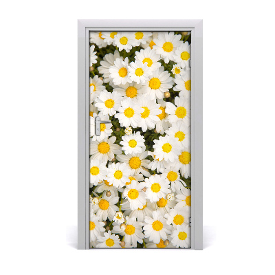 Deur sticker Daisy flowers