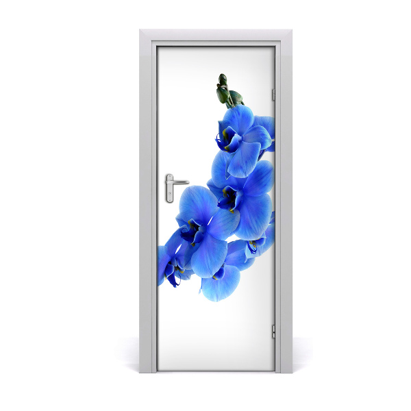 Deur sticker Blauwe orchidee