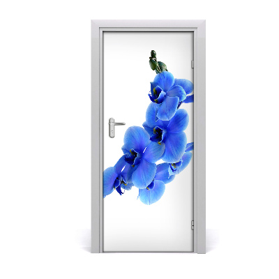 Deur sticker Blauwe orchidee