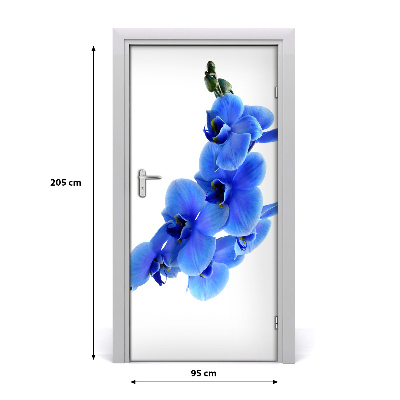 Deur sticker Blauwe orchidee